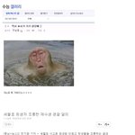[추억파리여] 단원고..水시드립의 <b>최후</b> jpg