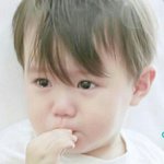 [EXO] 아ㅅㅂ울거같다