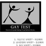 [루니시] 동성애자 테스트