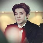[세훈] 꾹꾹이 일발<b>장전</b>!!