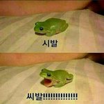 [EXO] 15년은 시발ㅋㅋㅋ1월부터 지랄이냐