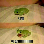 [EXO] 루둘터진날 우리 체육대회