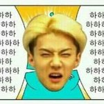 [EXO] 하하하하하하하