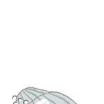 [EXO] 볼눌리는팬아트좀공<b>우해</b>줘ㅠㅜㅠ