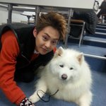 [EXO] 근데 티저시우민 <b>연두색</b>이면 존나웃기겠다