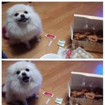 [오핫] 개무룩