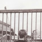 [EXO] 내 <b>배사</b> 누구게ㅋㅋㅋㅋㅋㅋㅋㅋ