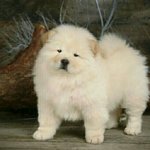 [EXO] 난 엑소 수록곡 중에 서로 이어지는 노래가 좋더라