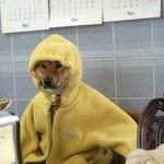 [EXO] 역시 <b>이시간</b>이 병먹금 제일잘해ㅋㅋ