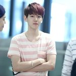 [EXO] 남자가 강아지상 고양이상 추반