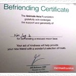 [카이] 종인이 진짜 반달곰 <b>아빠</b> 됐어ㅋ (+북극곰도 입양했어ㅎㅎ)