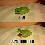 [EXO] 성공한 짱팬 기준이 뭐라고 생각함?