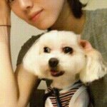 [동물사랑방] [추가] <b>반나절</b>도 안되서 죽어버렸습니다.