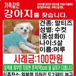 [강아지] 영천사시는분들...한번만봐주세요