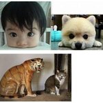 [<b>충동</b>맘] 헐... 완젼 기요미인데 닮았어!!