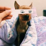 [충동<b>맘</b>] 내 <b>눈</b> 가지고 장난하지 마라!