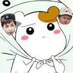 [EXO] 시우민팬 나홀로 외딴섬이라니