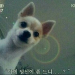 [EXO] 뒷북 미안한테 일요일날 애들 나온 