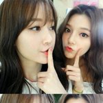 [걸그룹] 나인뮤지스 새멤버 <b>소진</b>,금조