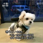 [EXO] 예전에 여기서 본건데ㅋㅋㅋㅋㅋㅋㅋㅋ