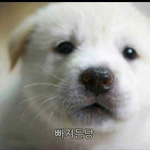[EXO] 뜬금인데 여기서 뭐가 나아?