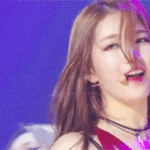 크리스탈이나 수지 중 삶을 <b>선택</b>한다면