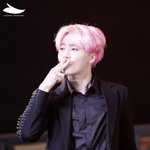 [EXO] 미친년들 ㅋㅋ 설리빨고 지랄이네 ㅋㅋㅋ