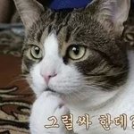 [EXO] 딴얘기긴 한데
