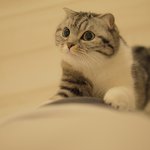 [유봉이네] 여행갔다 온 남<b>집사</b>(유봉이네)