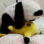 [<b>뉴트</b>] 인형 야동