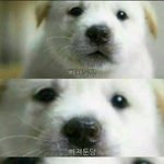 [EXO] 야 찬열이말은 <b>바지</b>를 입은 상태가아니라