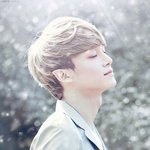 [뉴트] 아이브로우는 아리따움꺼 <b>애용</b>함