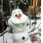 완벽 <b>올라프</b>눈사람