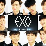 [exo] 헐대박이거뭔데