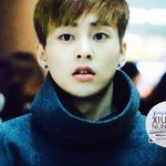 [EXO] 지금우리집고양이가 <b>정면</b>으로 나 쳐다보고있는데