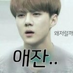 [EXO] 엑소쇼타임때수호<b>입수</b>