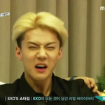 [exo] 나남동생이랑<b>단콘</b>갔는데ㅋㅋ