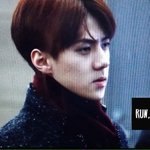 [EXO] <b>헤디</b> 진짜 욕나오게 한다...