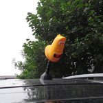 [EXO] 우리엄마 차에도 <b>라바</b>가 떠다니지 둥둥