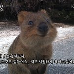 [EXO] 현타왔다는 새싹엑셀들에게