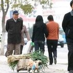 [<b>충동</b>맘] 파....트라슈???