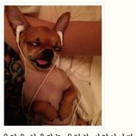 [충동맘] 음악에 <b>심취</b>하면 이리 되는건가요?