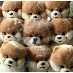 [충동맘] <b>숨</b>은 <b>개</b> 찾기