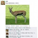 [충동맘] 사자의 <b>위상</b>