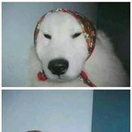 [<b>충동</b>맘] 이렇게 하면 머리가 작아진다는데 ㅋㅋㅋㅋㅋ