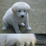 [EXO] <b>투표</b> 총공시간 11시 어때?