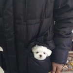 이 <b>사진</b> <b>안</b>귀여운 네이트를 떠나겠음