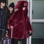 토끼돋는 오늘자 <b>보라</b> 공항패션