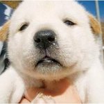 나 비염 있는데 뭐가 더 나음? 코세척 <b>or</b> 콧물전용티슈 중에