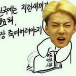 [EXO] 지금 중국애들은